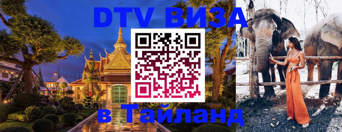 Сколько стоит DTV виза — актуальные цены, оформление даже без документов - 